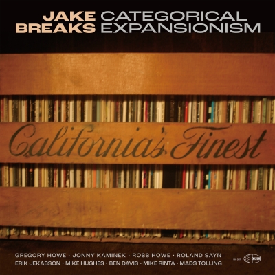 The cover for the album "Categorical Expansionism" by Jake Breaks.